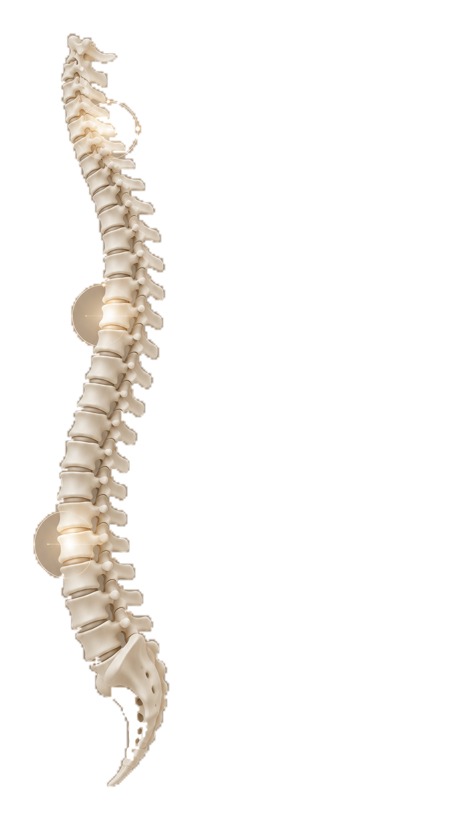 Illustrazione simbolica di una spina dorsale, con tre punti luminosi lungo le vertebre.